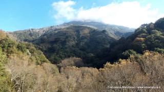 nte Scuderi-23-11-2014 09-46-42